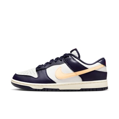 Nike Dunk Low Retro FV8106-181
