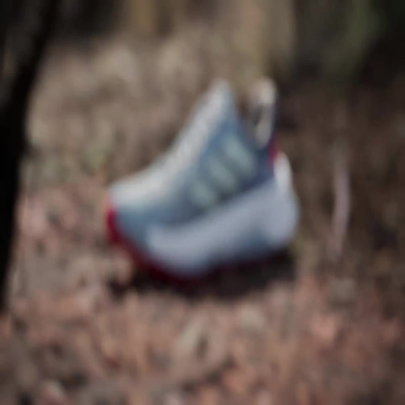 adidas Terrex Soulstride Ultra IH3794 02