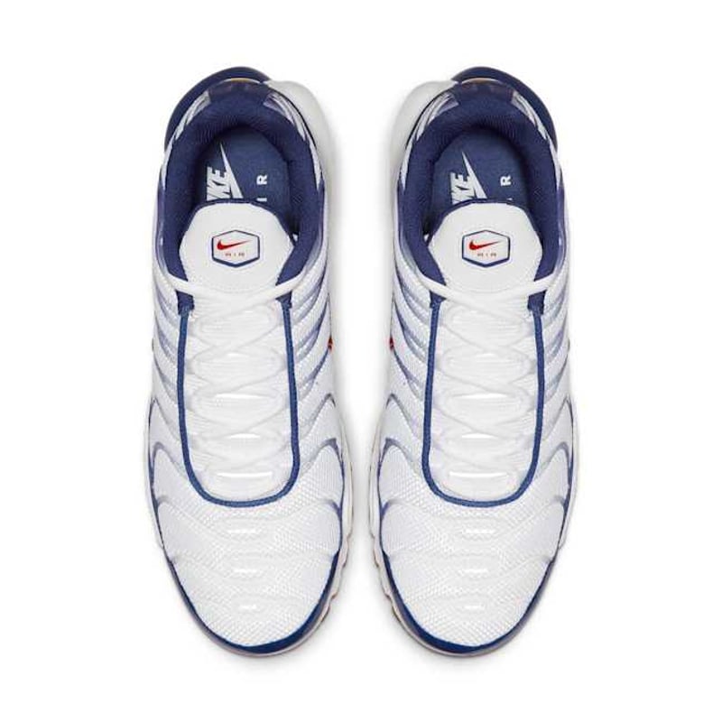 Nike Air Max Plus CJ9928-100 04