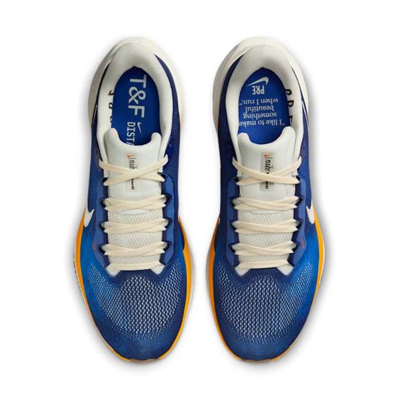 Nike Pegasus 41 IB7723-492 04