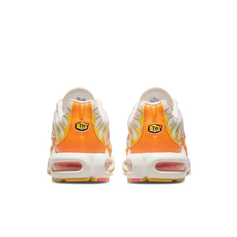 Nike Air Max Plus DX2673-100 06