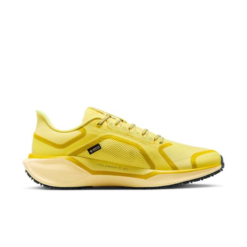Nike Pegasus 41 GORE-TEX FQ1356-700 03