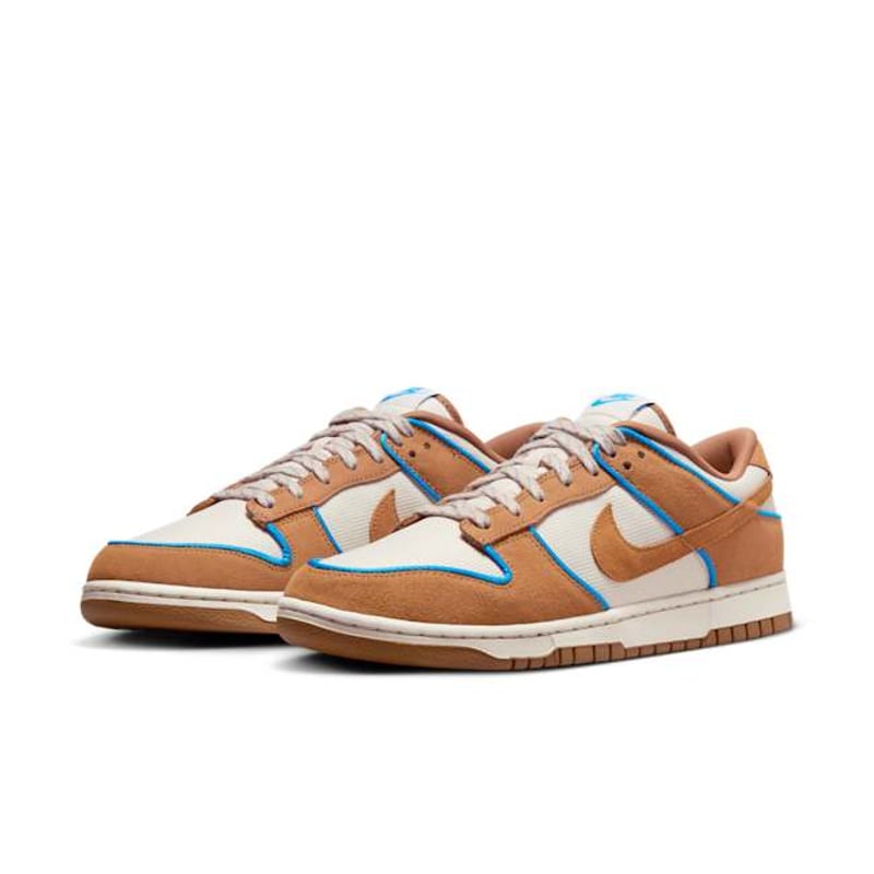 Nike Dunk Low Premium FN5825-100 05