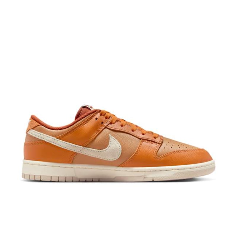 Nike Dunk Low Retro SE HJ9121-815 03