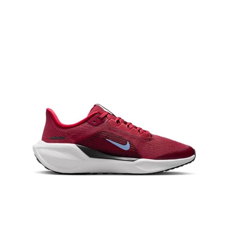 Nike Pegasus 41 FN5041-602 03