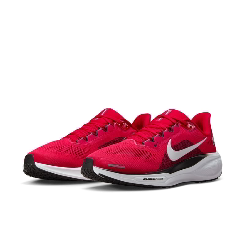 Nike Pegasus 41 IB3254-600 05