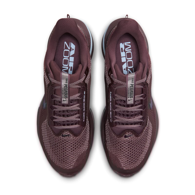 Nike Pegasus Premium HQ2593-502 04