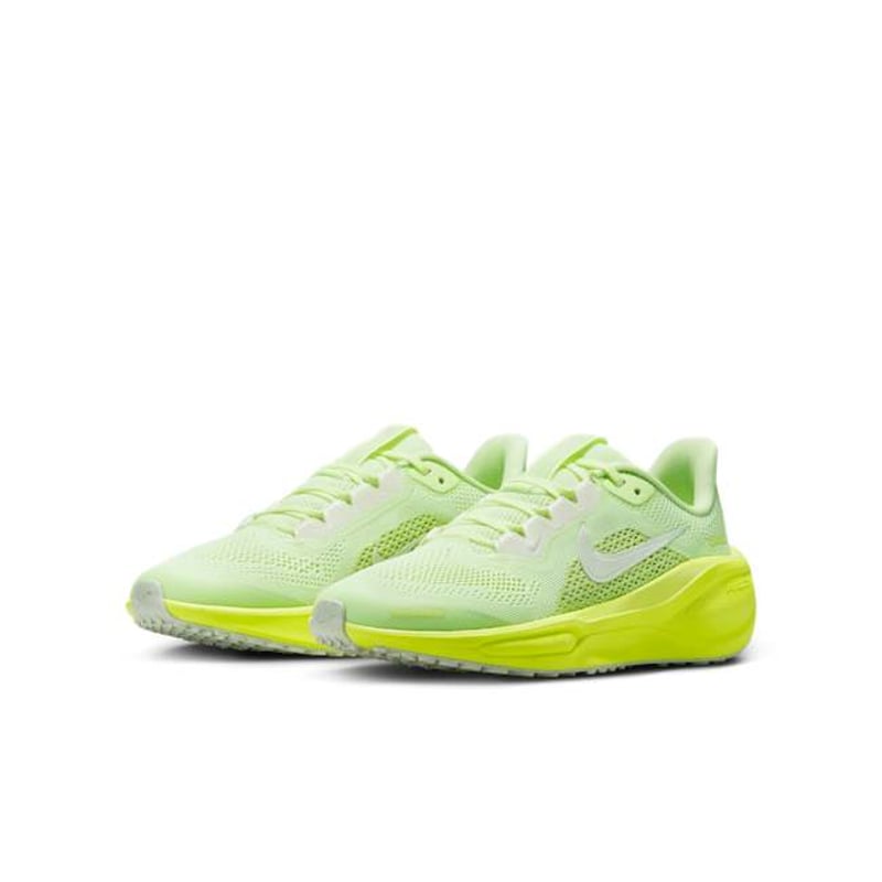 Nike Pegasus 41 FN5041-700 05