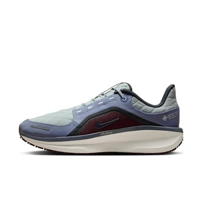 Nike Winflo 11 GORE-TEX FQ1358-003