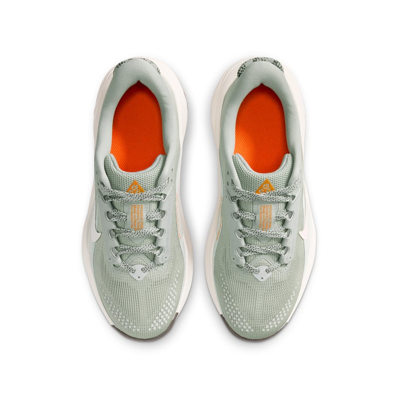 Nike ACG Pegasus IH2305-301 04