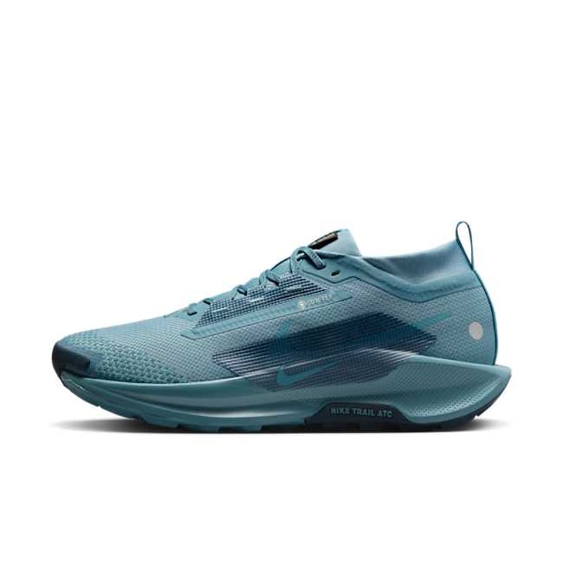 Nike Pegasus Trail 5 GORE-TEX FQ0908-005 01