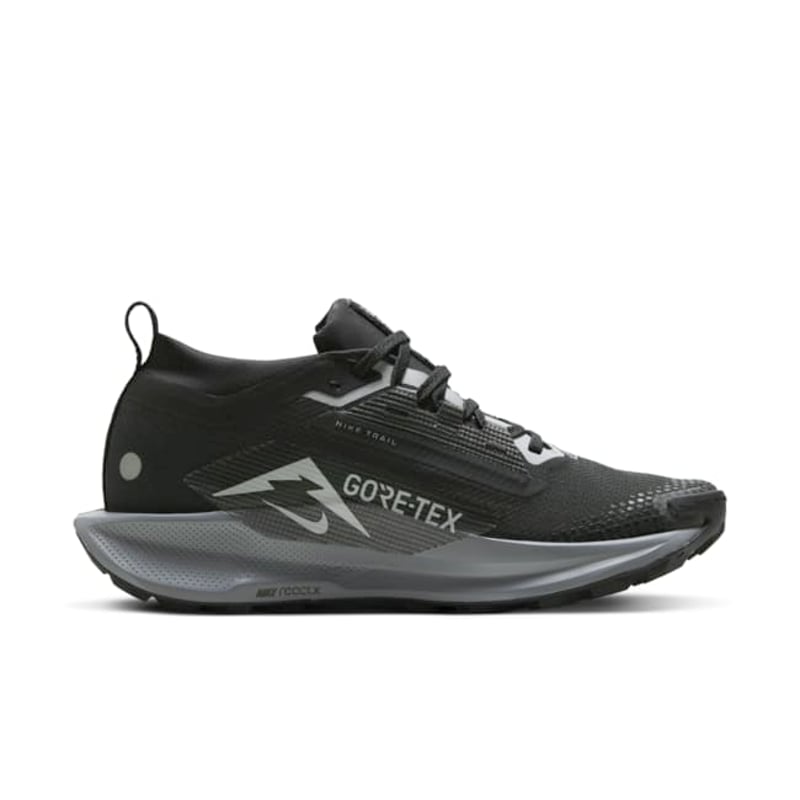 Nike Pegasus Trail 5 GORE-TEX FQ0912-001 03