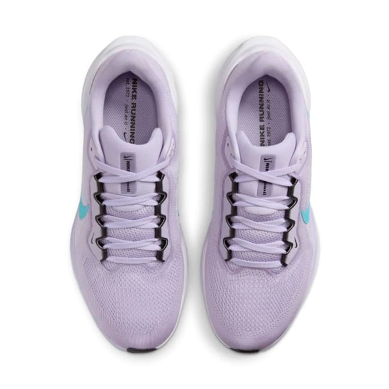 Nike Pegasus 41 FD2723-500 04
