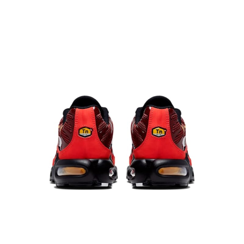 Nike Air Max Plus CK9393-600 06