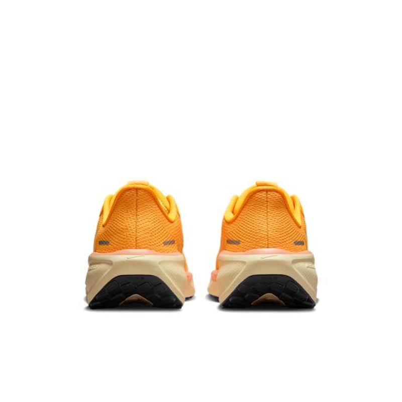 Nike Pegasus 41 FN5041-801 06