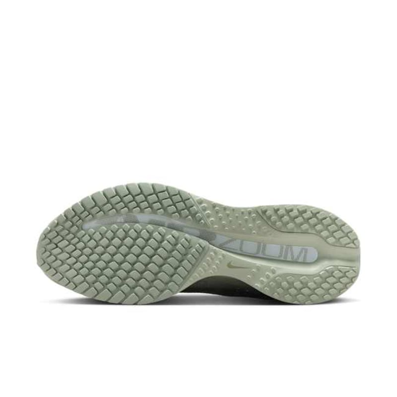 Nike Pegasus Premium HQ2592-300 02