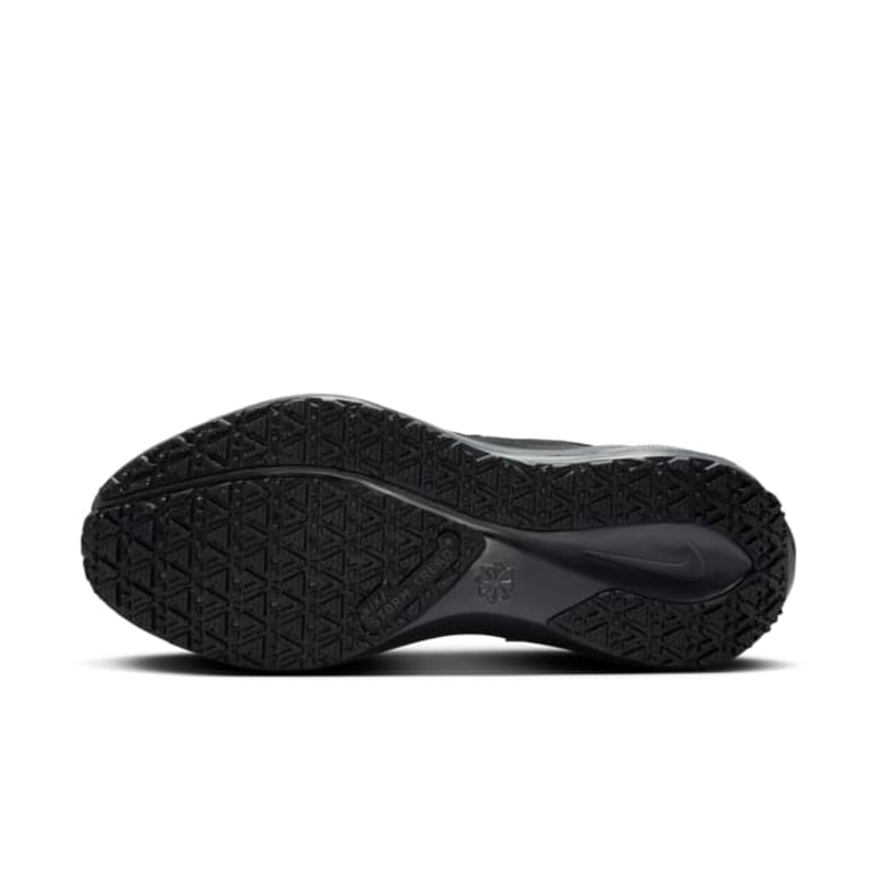 Nike Pegasus 41 GORE-TEX FQ1357-001 02