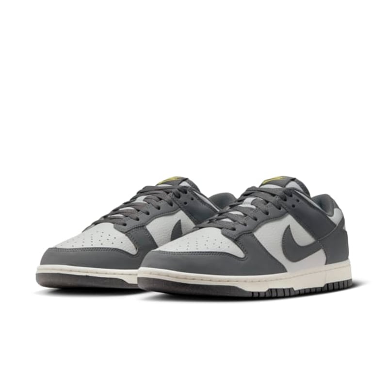 Nike Dunk Low Next Nature FZ4621-001 05
