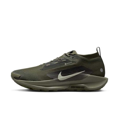 Nike Pegasus Trail 5 GORE-TEX SP HQ7494-300