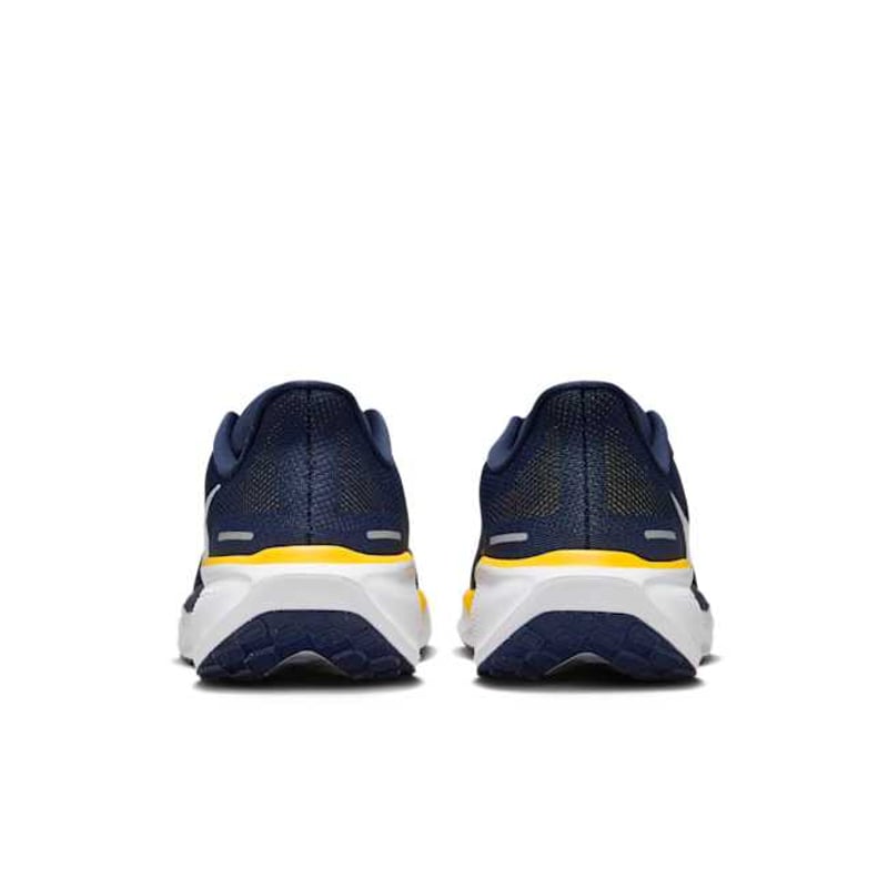 Nike Pegasus 41 FZ5128-400 06