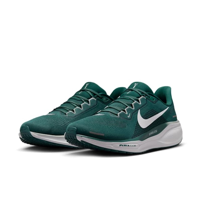 Nike Pegasus 41 x NFL FZ5083-300 05