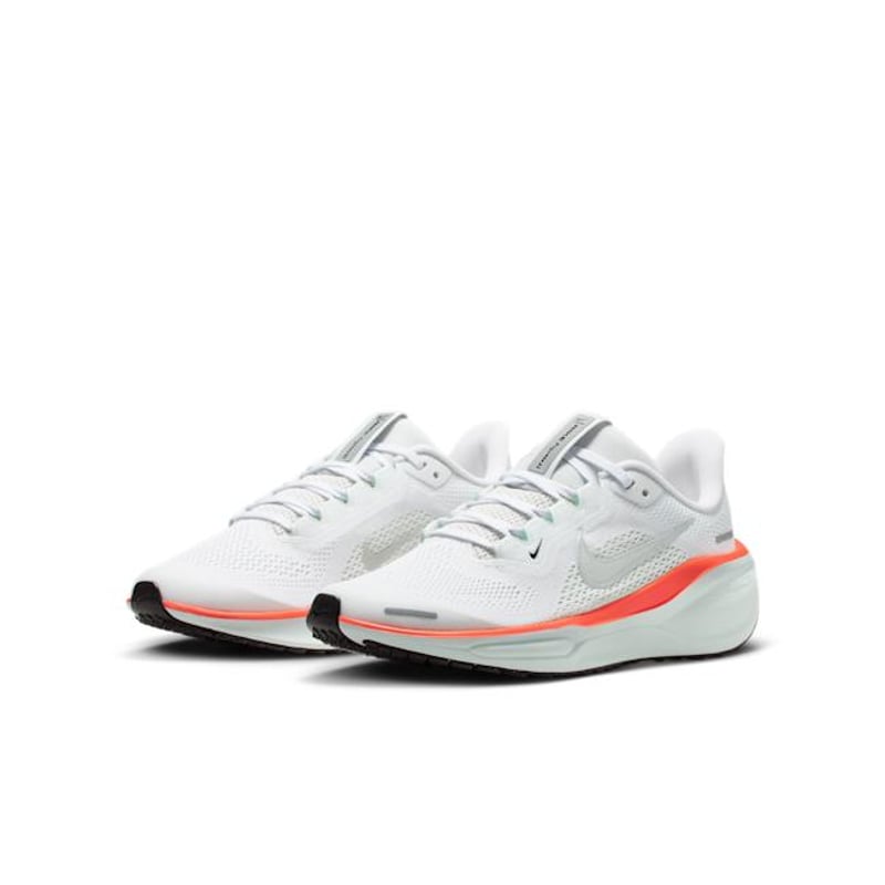 Nike Pegasus 41 FN5041-108 05