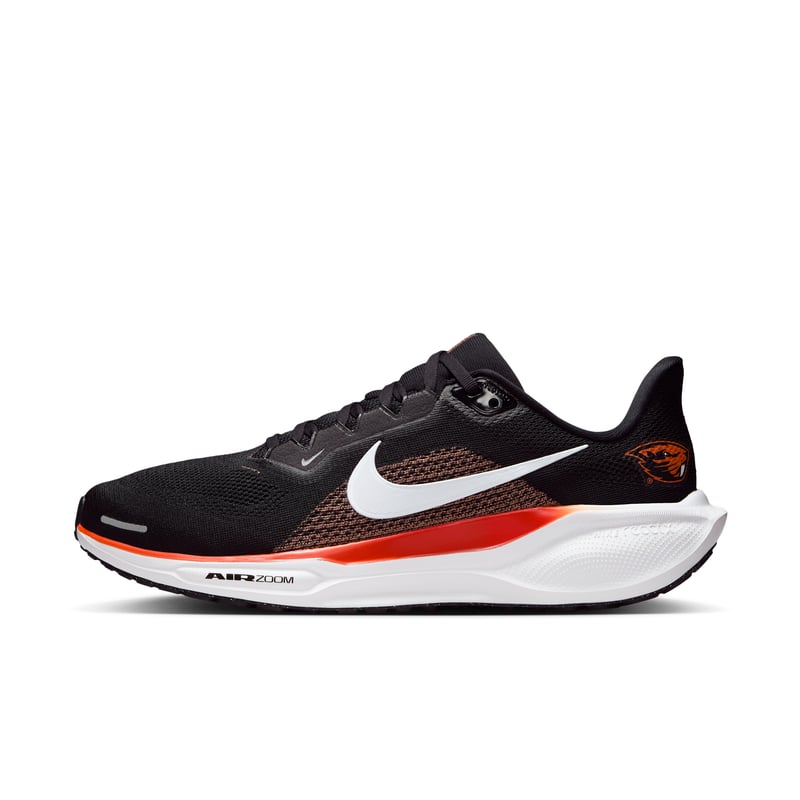 Nike Pegasus 41 IB3265-001 01