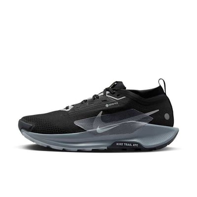 Nike Pegasus Trail 5 GORE-TEX FQ0908-001 01