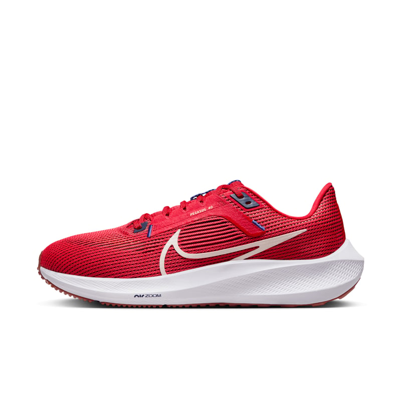 Nike Pegasus 40 DV3853-600 01