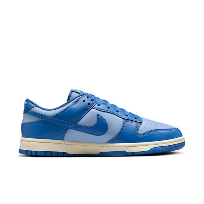 Nike Dunk Low HF5441-400 03