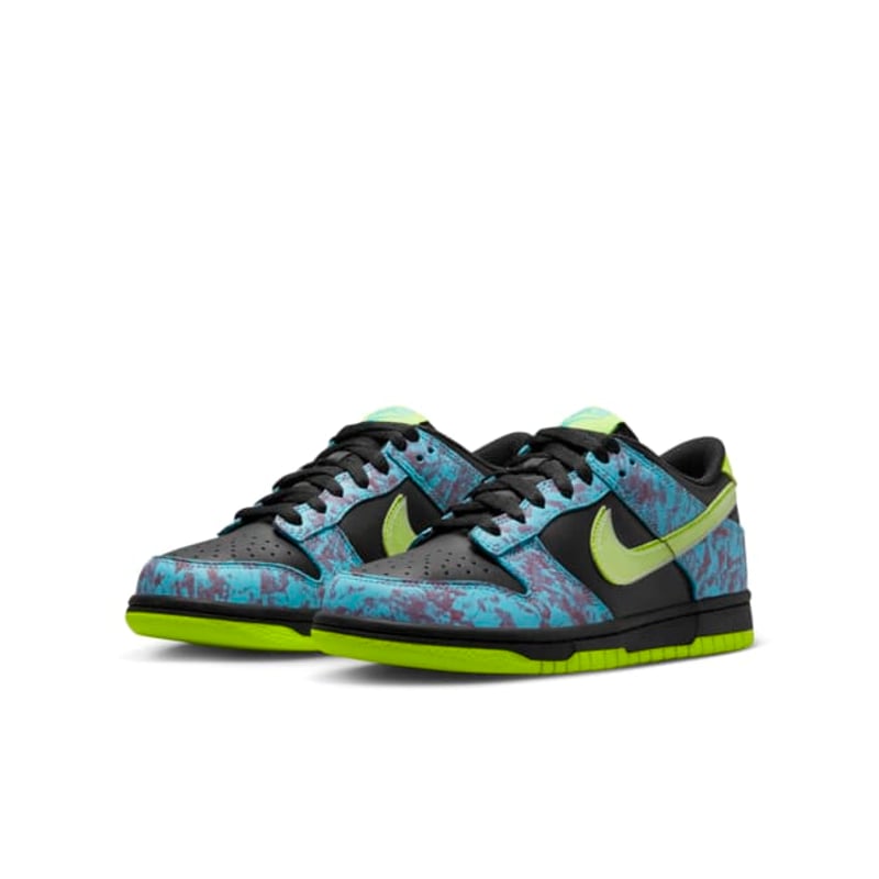 Nike Dunk Low SE DV1694-900 05