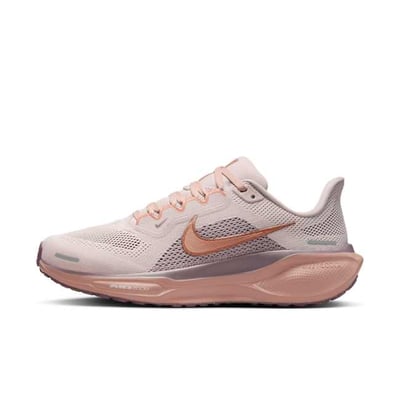 Nike Pegasus 41 FD2723-604