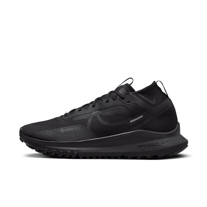 Nike Pegasus Trail 4 GORE-TEX DJ7926-008 01