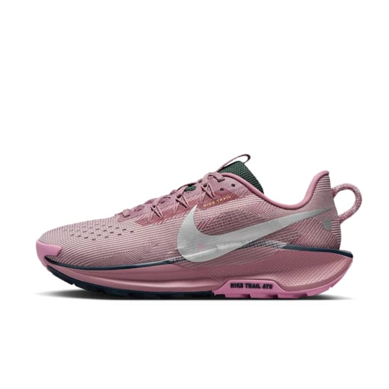 Nike Pegasus Trail 5 DV3865-500 01