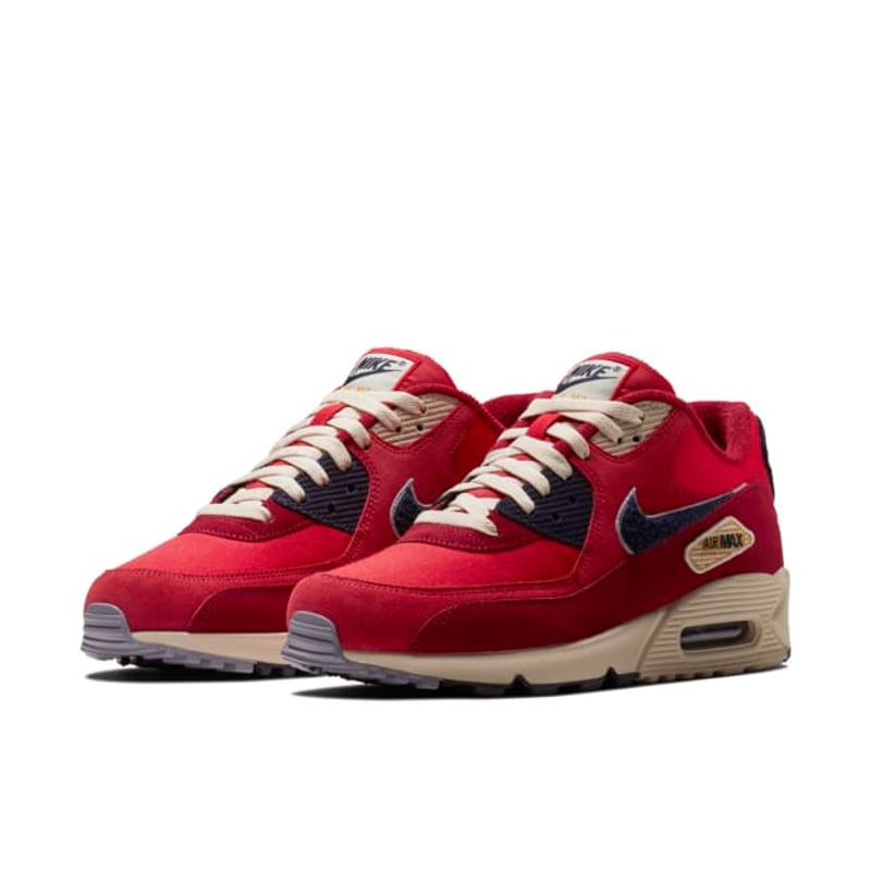 Nike Air Max 90 858954-600 05