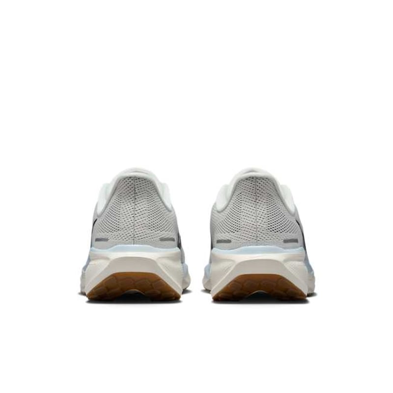 Nike Pegasus 41 FD2722-113 06