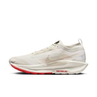 Nike Pegasus Trail 5 GORE-TEX FQ0908-100