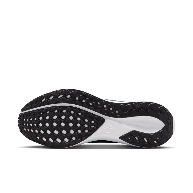 Nike Pegasus 41 FD2722-501 02