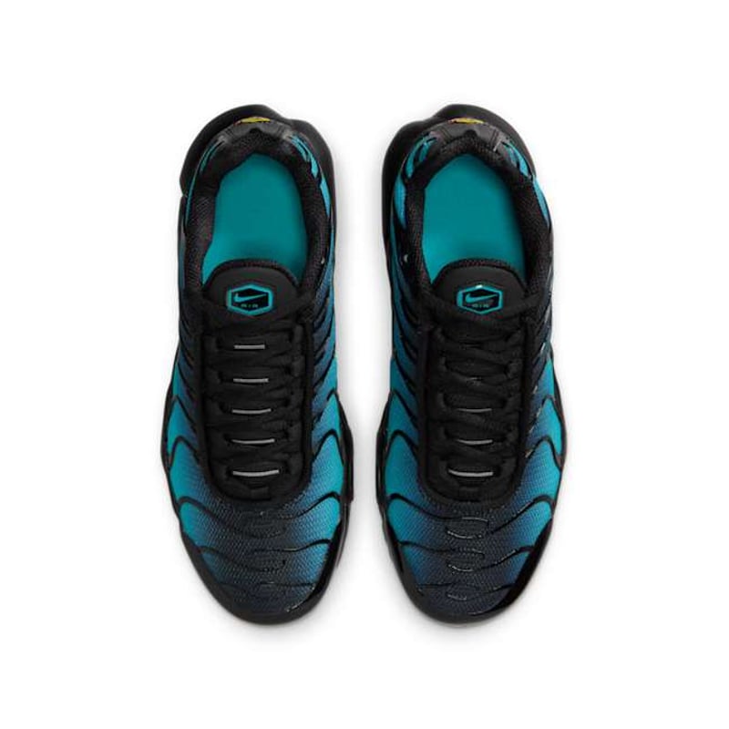 Nike Air Max Plus IF6169-001 04