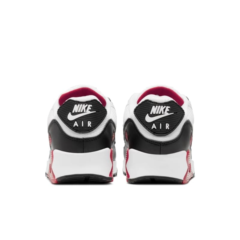 Nike Air Max 90 CT4352-104 06