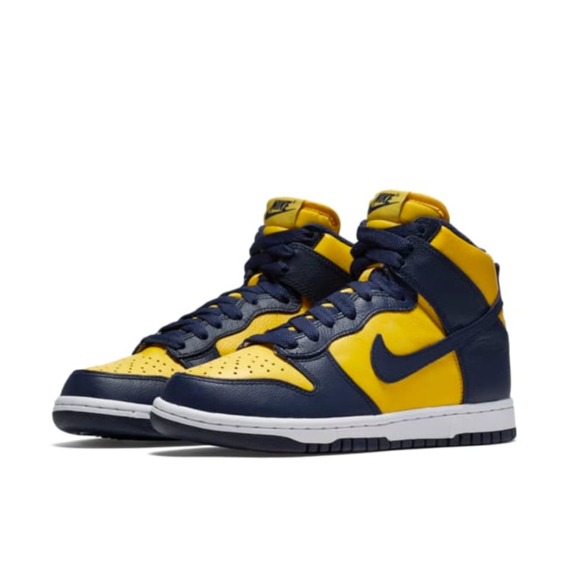 Nike Dunk High QS 854340-700 05