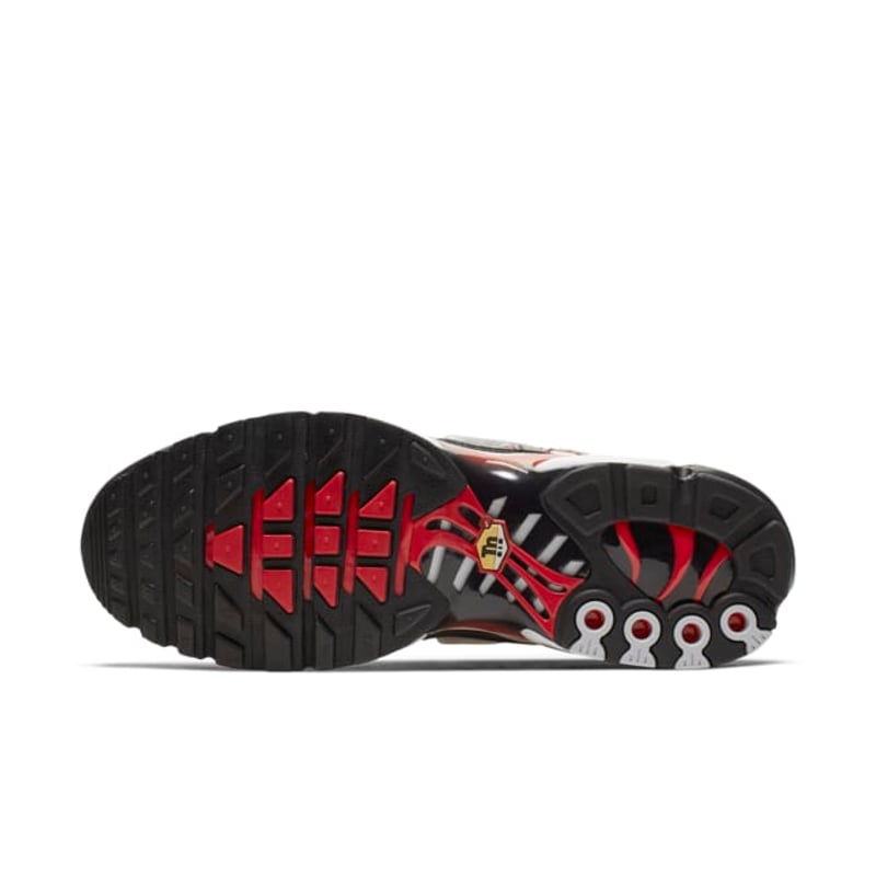 Nike Air Max Plus CK9392-100 02