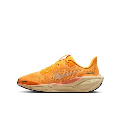 Nike Pegasus 41 FN5041-801