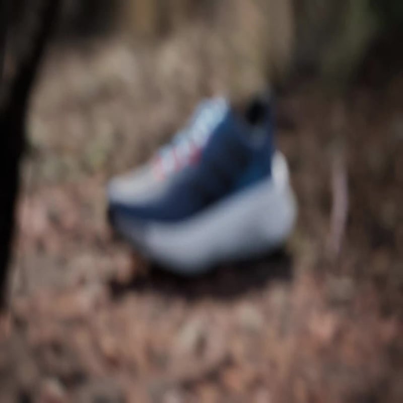 adidas Terrex Soulstride Ultra IH3441 02
