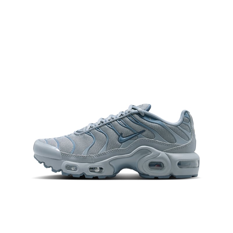 Nike Air Max Plus CD0609-042 01