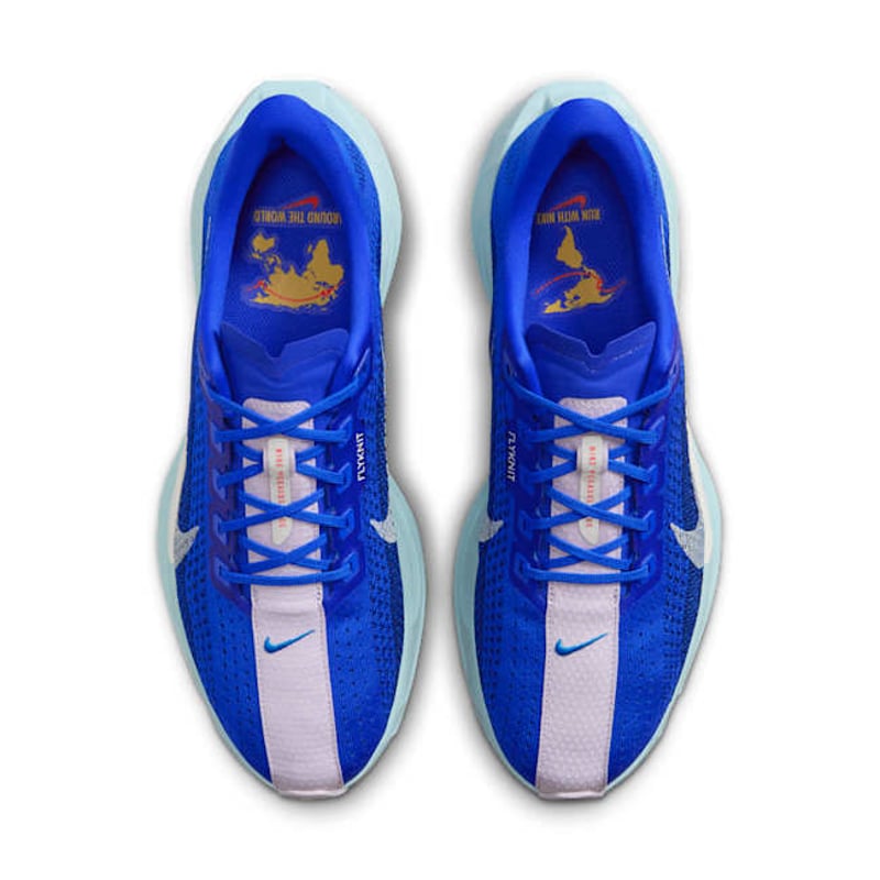 Nike Pegasus Plus HQ1719-400 04