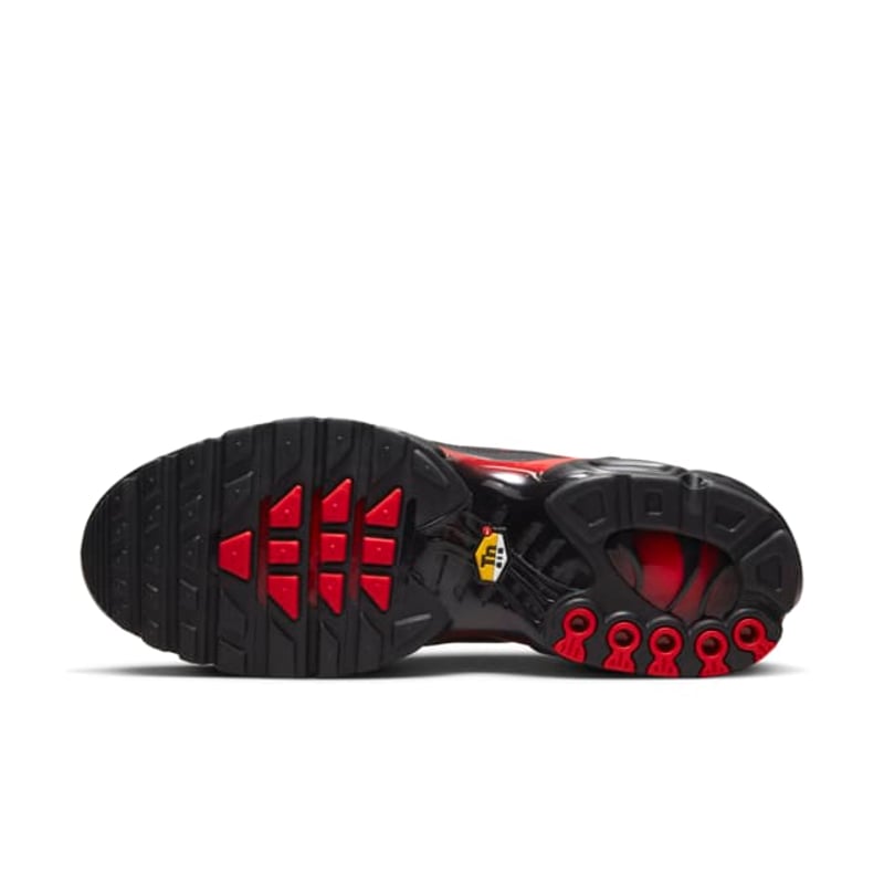 Nike Air Max Plus DZ4507-600 02