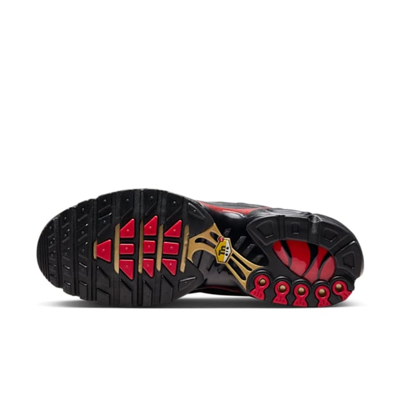Nike Air Max Plus Premium FZ3038-001 02