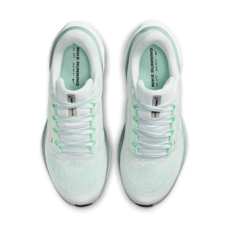Nike Pegasus 41 FD2723-113 04