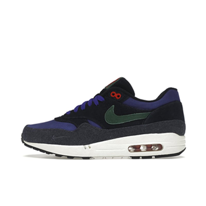 Nike Air Max 1 x Patta 366379-400 01
